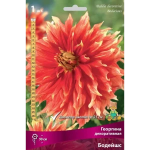 83593738 Георгина декоративная Бодейшс луковица I STLM-0951327