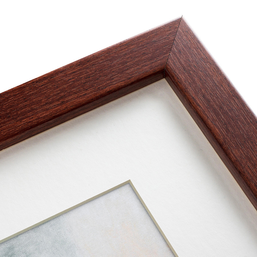 Литография на тонированной бумаге 42х52 см Spotted ray, 1829 КАРТИНЫ В КВАРТИРУ  135523 Белый;коричневый;разноцветный  - Вид №2