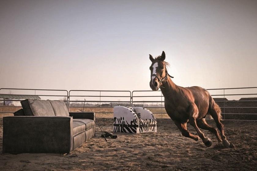 Gobbo Salotti 3-х местный кожаный диван sun-id-1425794 - Вид №3