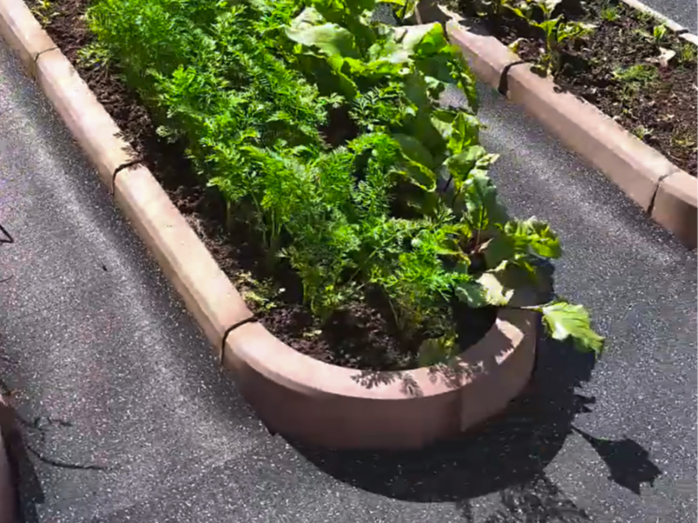 100.3.3AG.Bc Садовая дорожка резиновая Alegria garden  - Вид №4