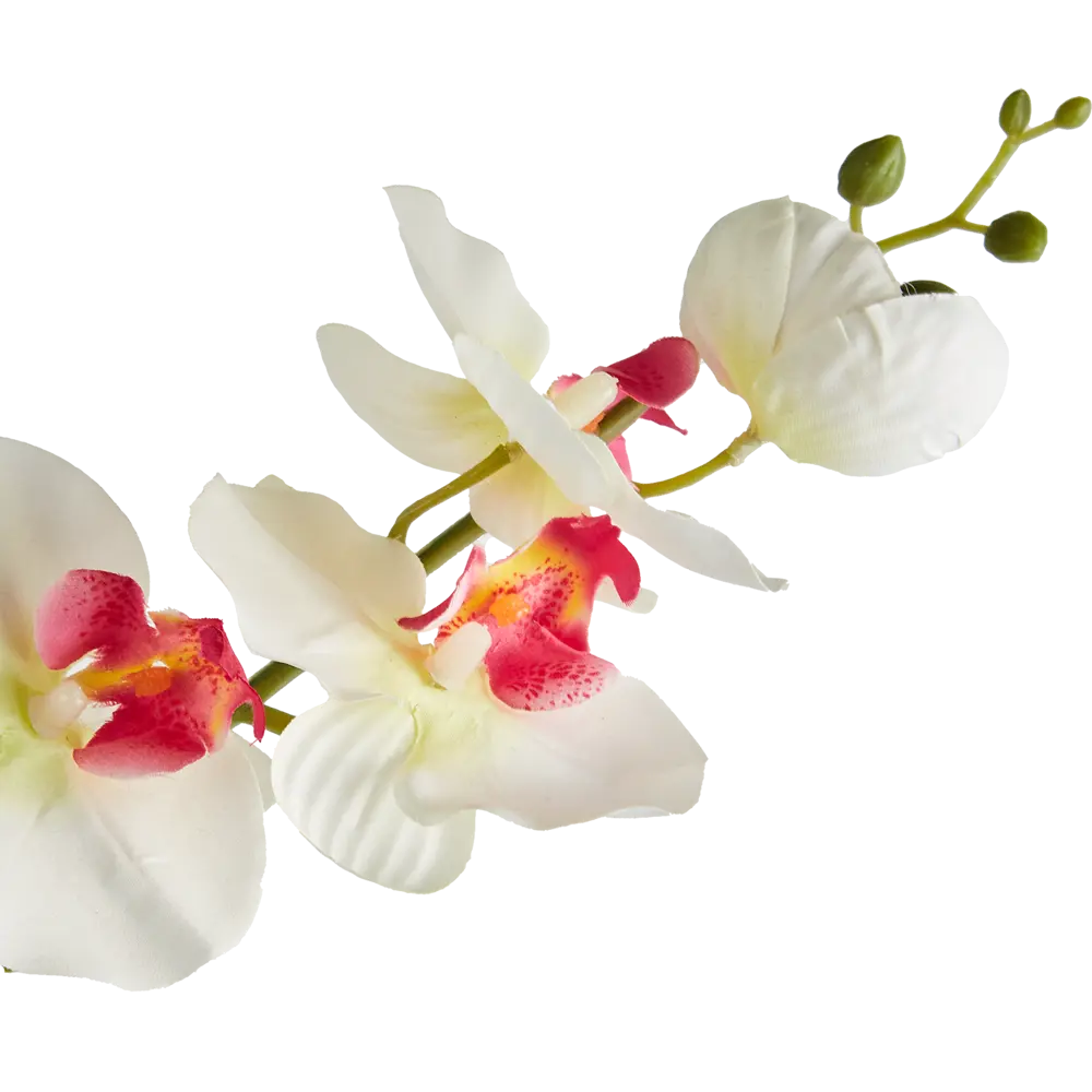 85881693 Искусственное растение Орхидеи h62 см ткань белый STLM-0960028 Santreyd  - Вид №1