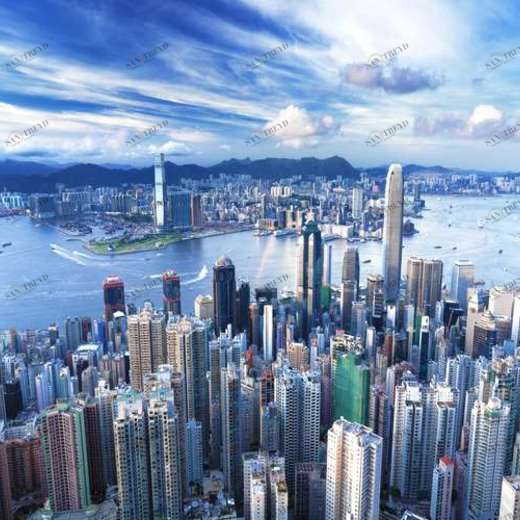 WP01641 Фотообои Verol Фотообои decoline 1х1 м