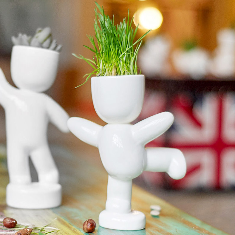 1001 Набор для выращивания eco танцор Экочеловеки 