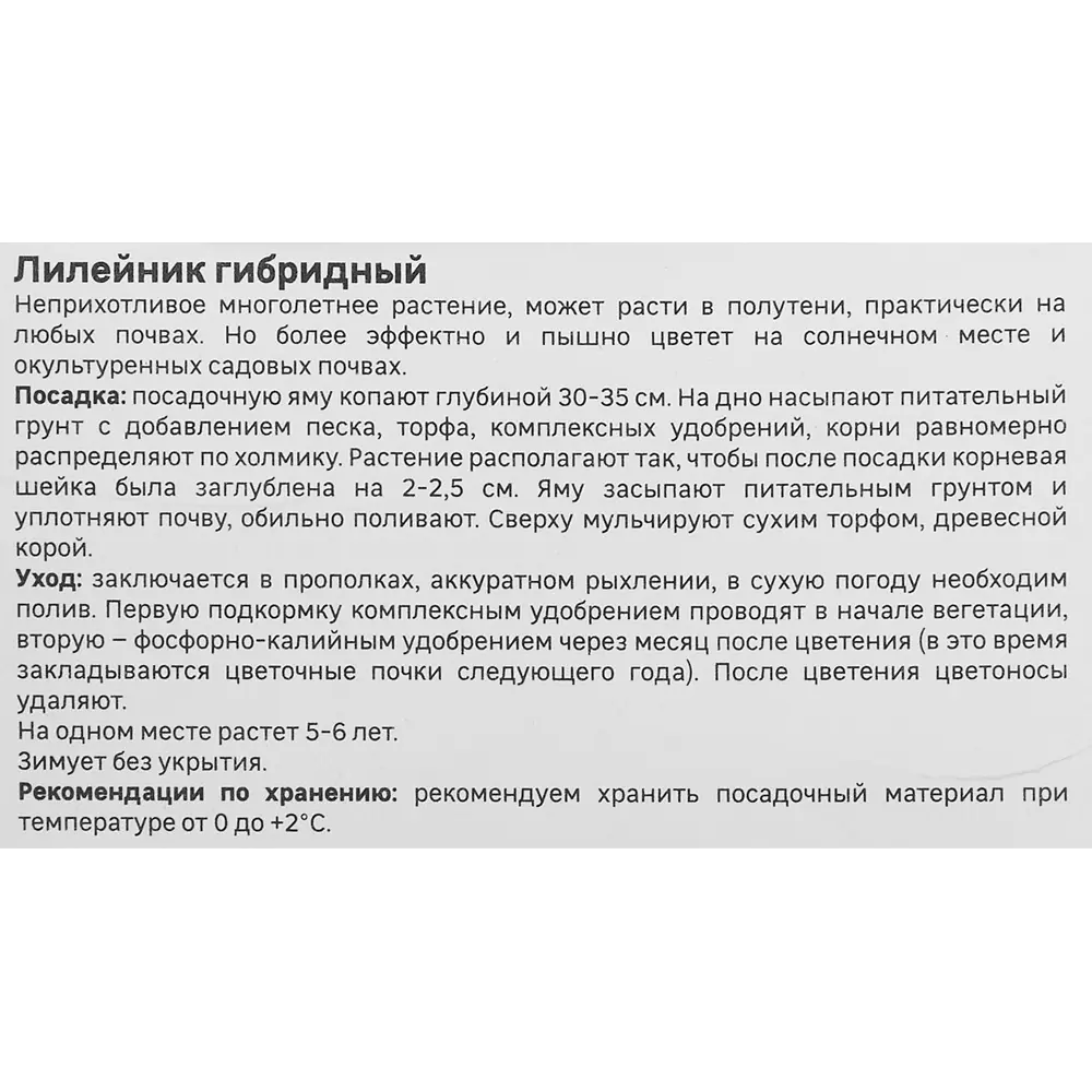 Лилейник Geolia гибридный Мини Стелла STLM-2099337 - Вид №3