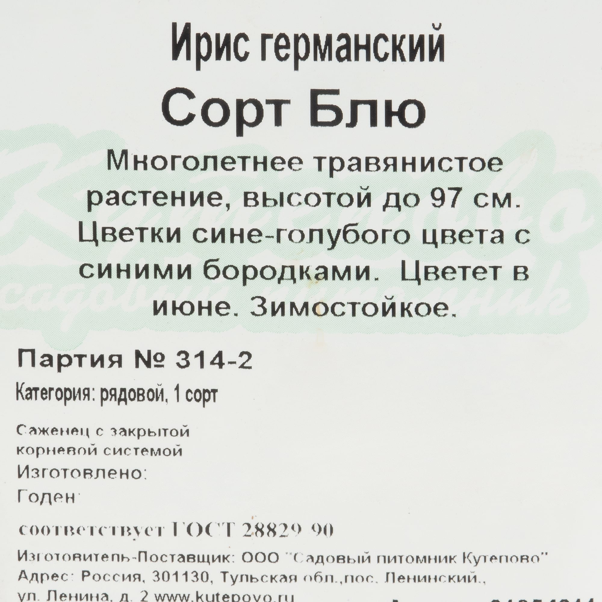 81954811 Ирис германский С1 «Блу» Santreyd  - Вид №1