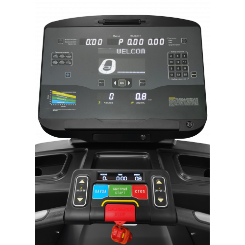 CT500 Беговая дорожка cardiopower pro ct500 CardioPower  - Вид №1
