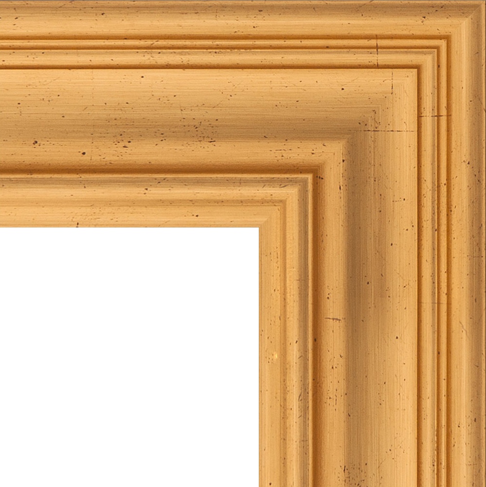 BY 3366 Зеркало с фацетом в багетной раме - травленое золото 99 mm EVOFORM Exclusive - Вид №5