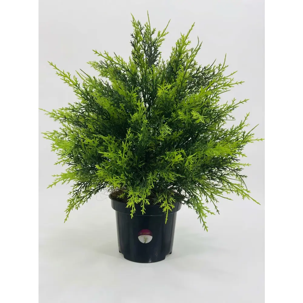 Искусственное растение куст Кипариса ø17 h50 см Santreyd STLM-2192287