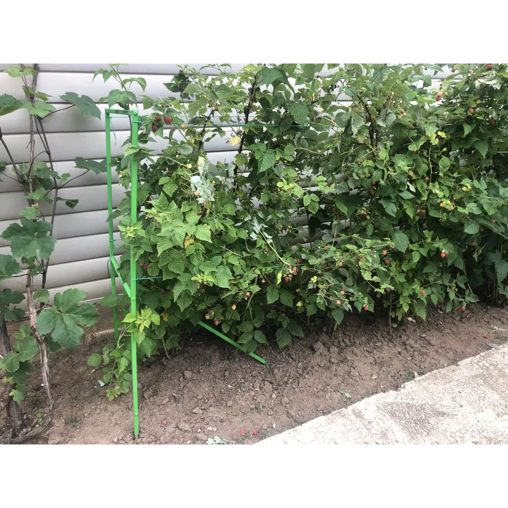 Опора для малины h150 см сталь зеленый 85642386 STLM-2006555 Santreyd  - Вид №2