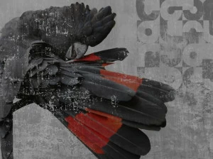 Wall&decò По причинам Contemporary wallpaper 2013 Gpw1301