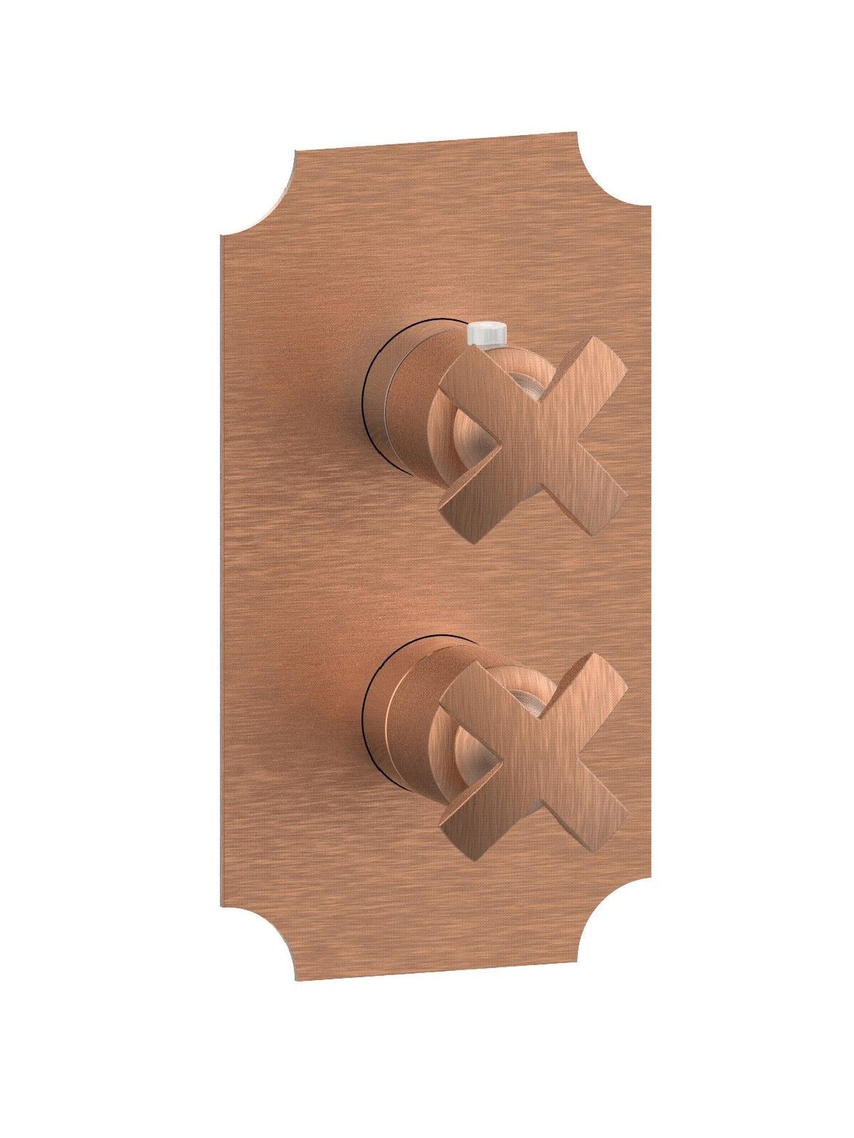 Термостатический смеситель для душа с 2 отверстиями и пластиной Rubinetterie Frattini душевые ARCH-00110184 - Вид №6