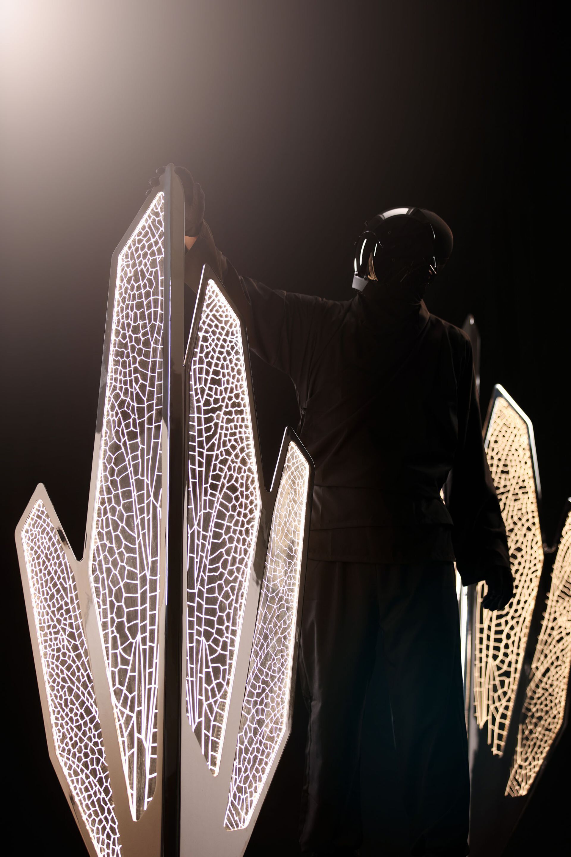 Световая скульптура с фотокаталитической обработкой Creazione SUGO FOGLIA LIBELLULA CHROMATO Limited Edition 2025 ARCH-00095213 - Вид №1