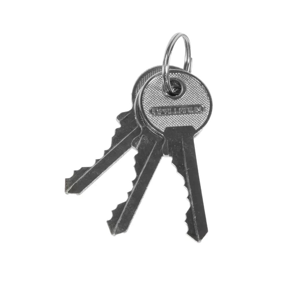 Замок навесной Palladium 301B-60L, латунь/сталь STLM-2183784 - Вид №2