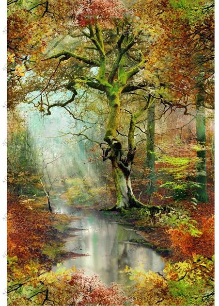 LELIEVRE Флизелиновые обои с пейзажами Jean paul gaultier - pop rock 3337