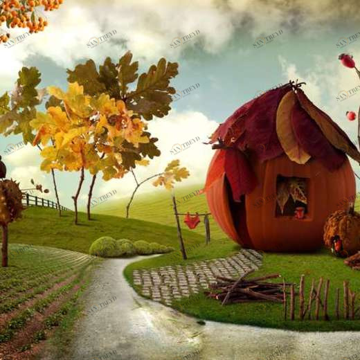 WP01808 Фотообои Verol Фотообои decoline 1х1 м