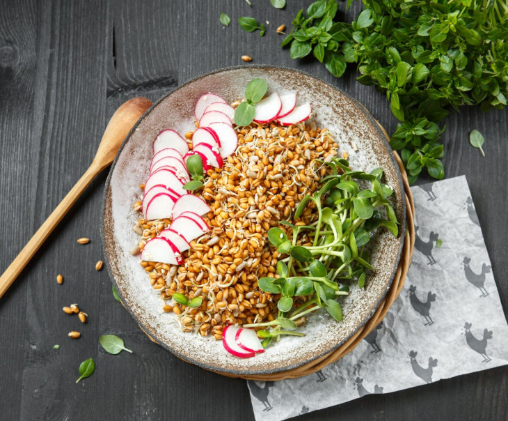 9720 Микс из проростков пшеницы с редисом Вкусляндия 