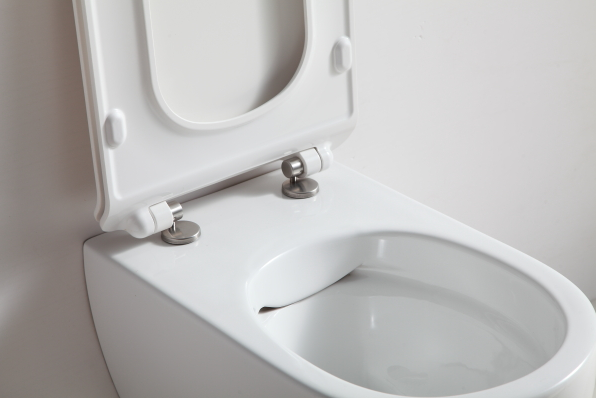 NC4477(NC2039) Подвесной унитаз SSWW NC - Вид №3