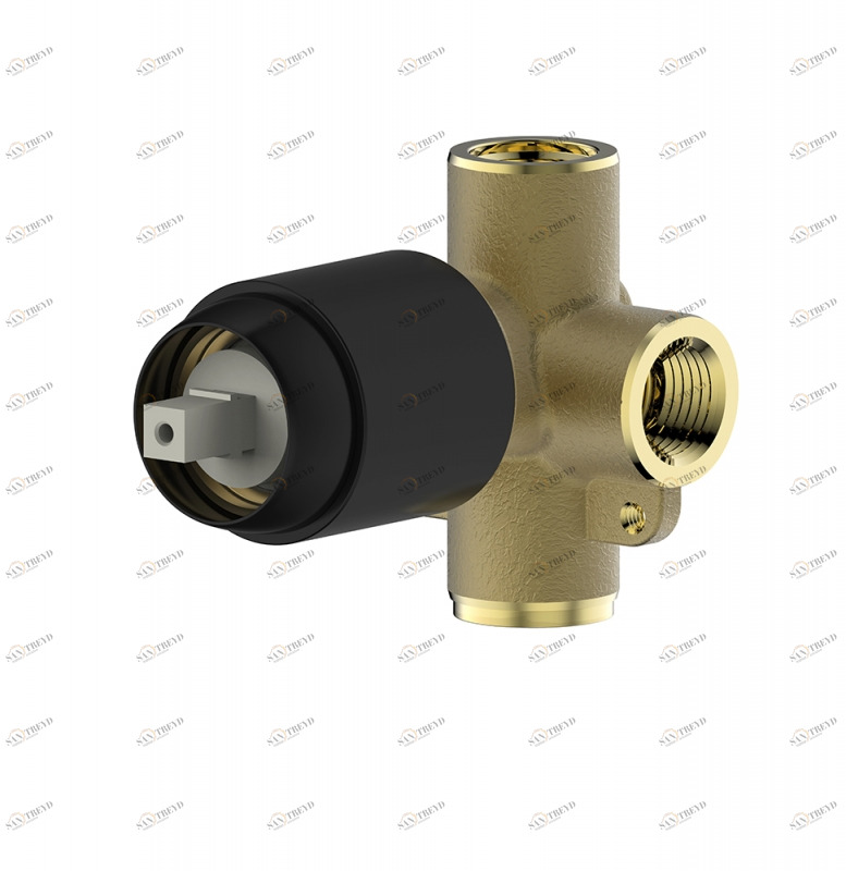 Внутреннее тело 1-функц. ARC D999BW-07 bravat