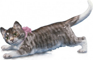 83632 Meissen Фигурка 9см "Кот" (Отто Ярл, 1904г.) Фарфор