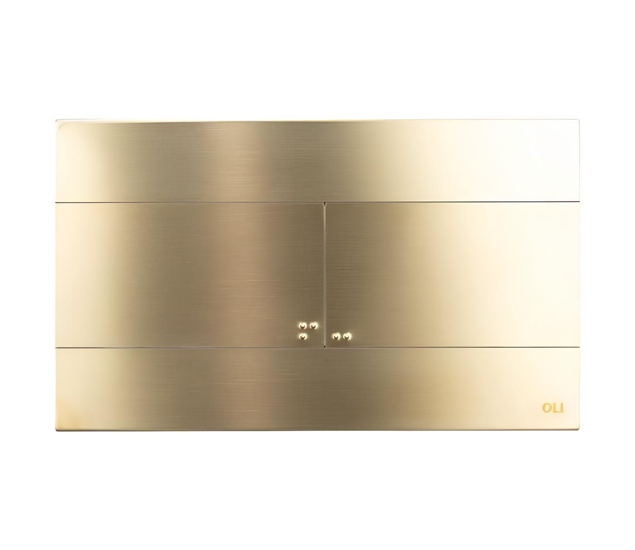 Панель управления туалетом из нержавеющей стали OLI SLIM INOX ARCH-00058910 - Вид №2