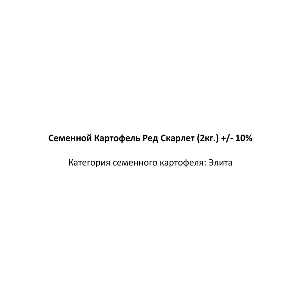 Картофель семенной Ред Скарлет элита 2 кг 83701037 STLM-2077223 Santreyd  - Вид №1