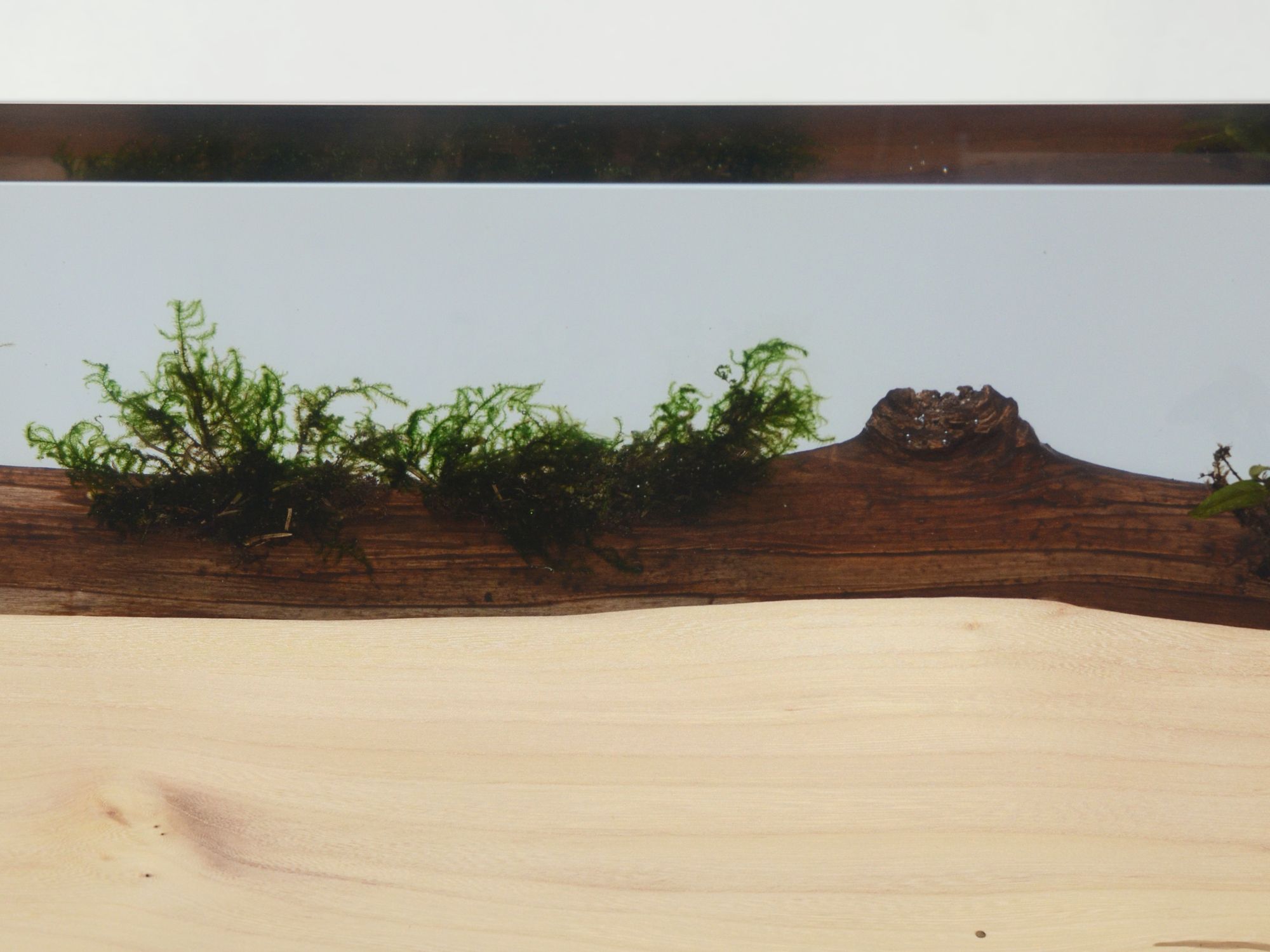 Прямоугольная консоль alcarol Подлесок ARCH-00030611 - Вид №9