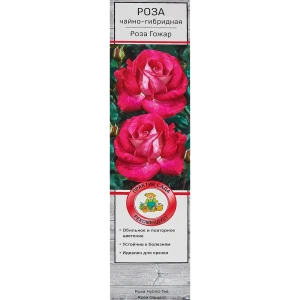 18348064 Розы чайно-гибридные «Роза Гожар» STLM-0965799