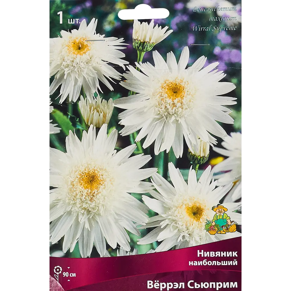 Нивяник наибольший Вёррэл Сьюприм 85205691 STLM-2176064 ПОИСК 
