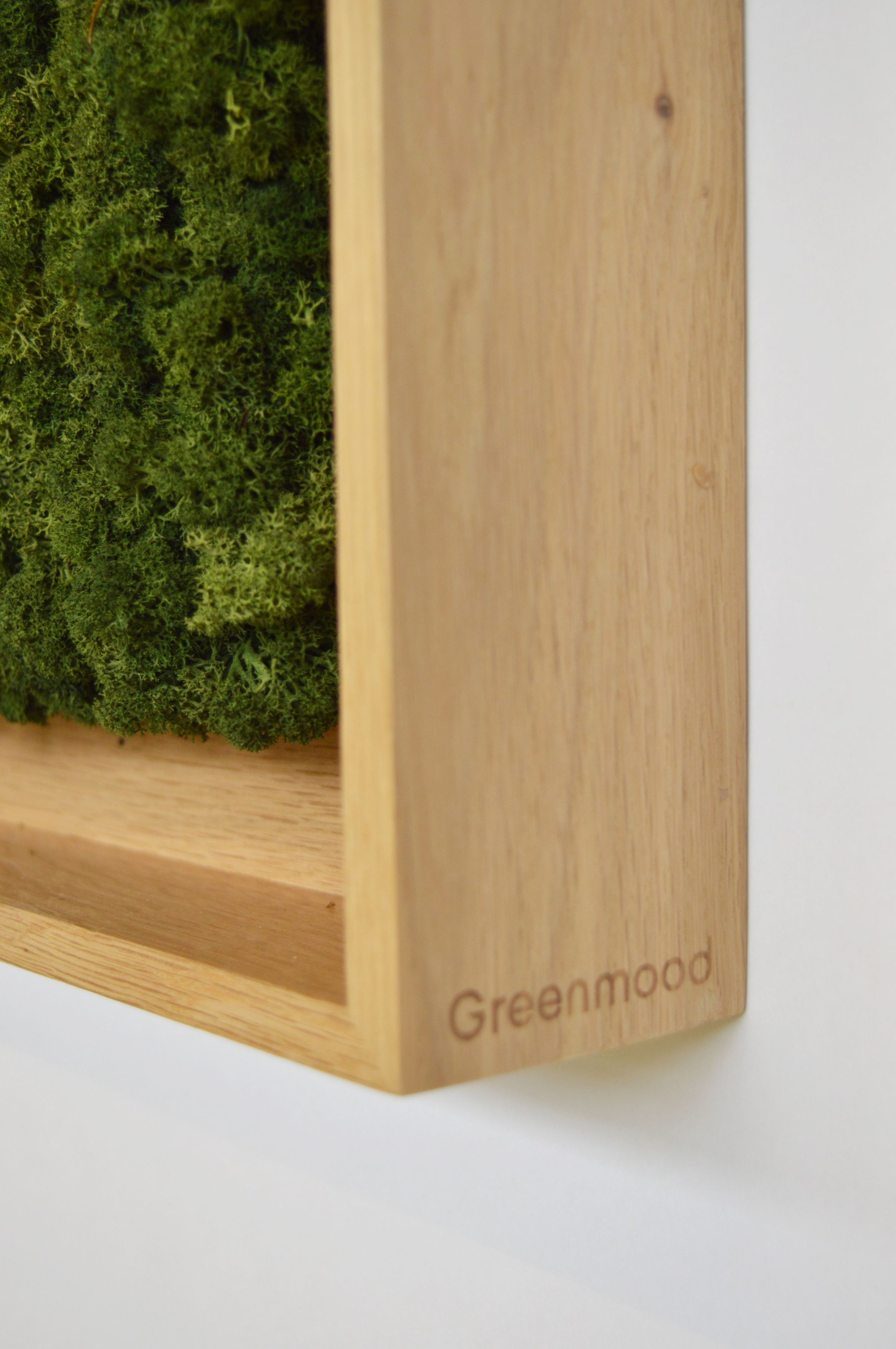 Акустическая панель из мха GREENMOOD FRAMED LANDSCAPE ARCH-00143245 - Вид №25