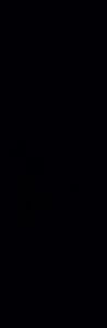 Плитка Winter Vine рельеф черный 29x89