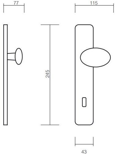 Pasini Ручка из латуни на пластине с накладкой  3170  - Вид №1