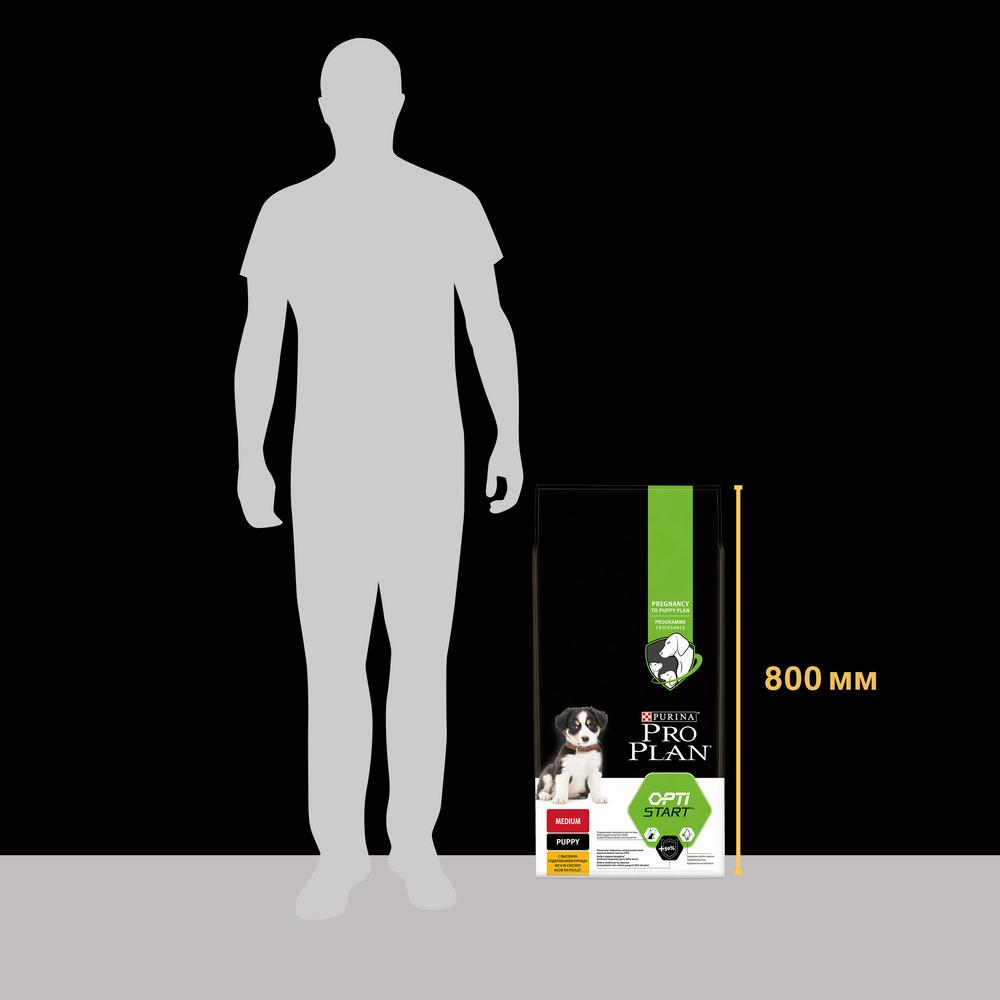 ПР0059706 Корм для щенков для средних пород, курица сух. 12кг Pro Plan  - Вид №8