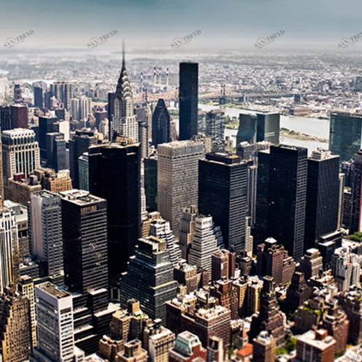 A1-081 Фотообои DIVINO Collection A 1.47х3 м A1081