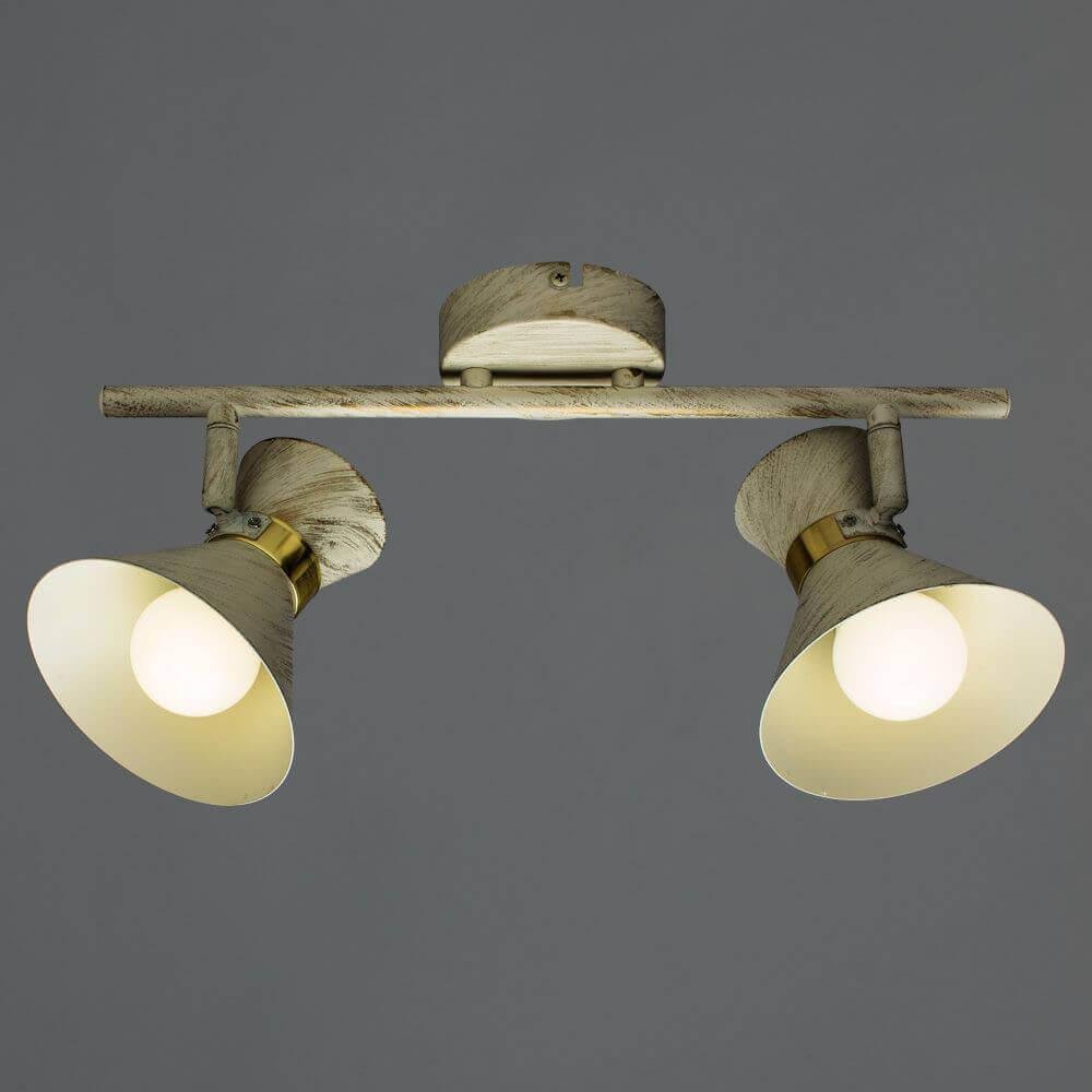 Спот потолочный на 2 лампы белый Baltimore A1406AP-2WG ARTE LAMP BALTIMORE WHITE 00-3926270 Белый  - Вид №1