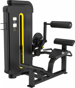 H3031 Svensson industrial h3031 matte black разгибание спины Svensson Body Labs