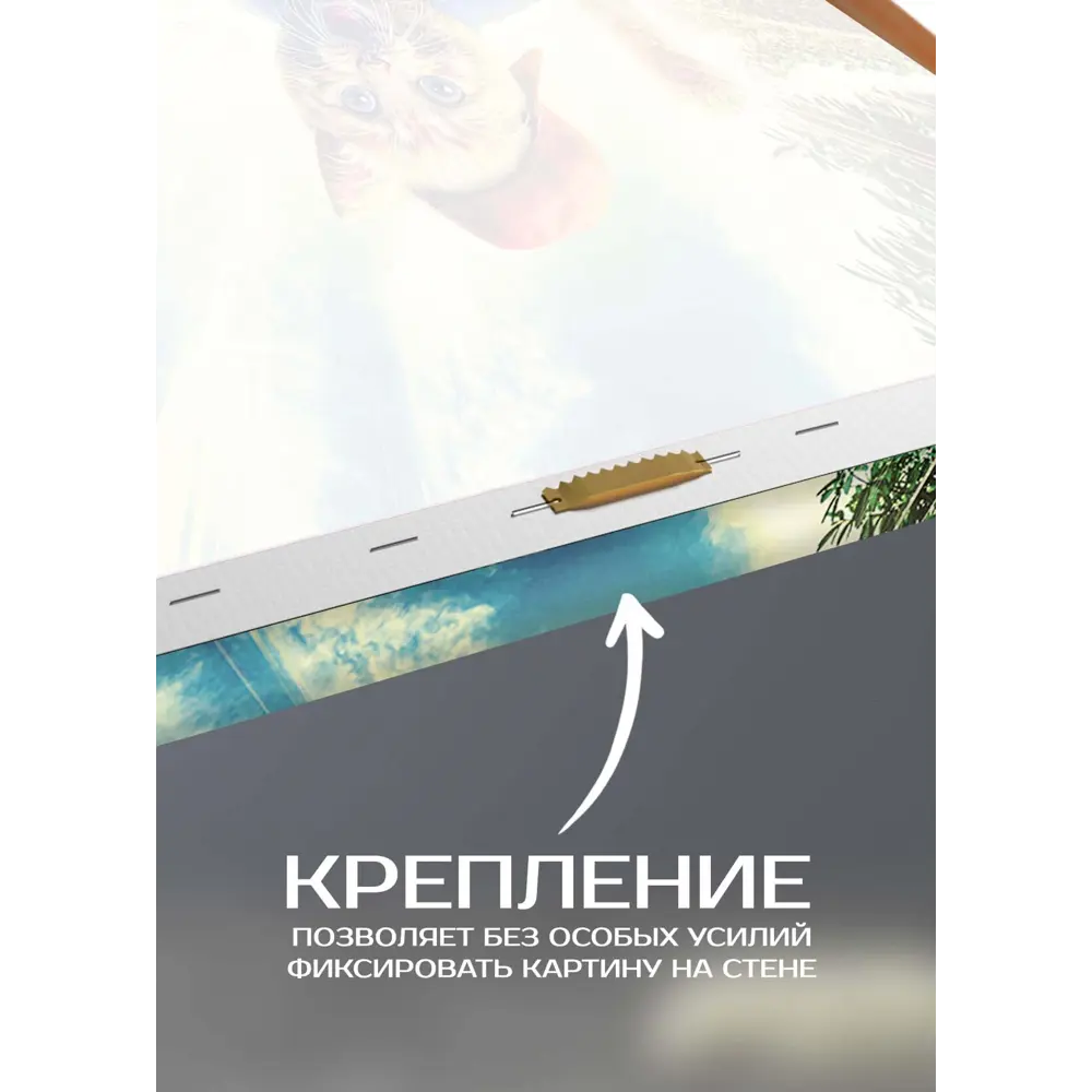 Картина на холсте Кот на скейте 30x30 см 87233235 STLM-2170859 FBRUSH  - Вид №4