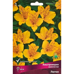 Альстремерия Лютея
