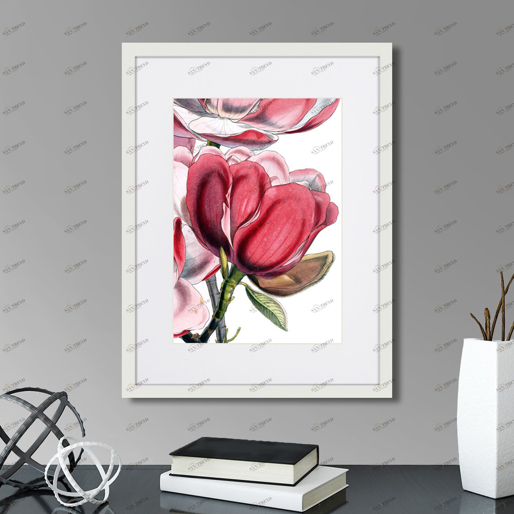 Картина в раме 42х32 см Himalaya Plants Pink-Flower on white I, 1869г. КАРТИНЫ В КВАРТИРУ  264651 Зеленый;розовый;разноцветный 