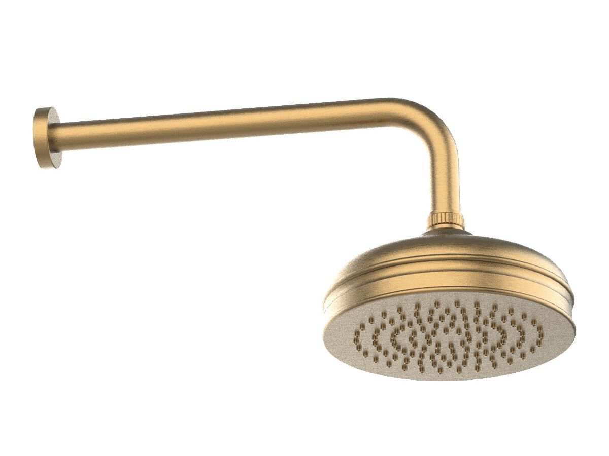 Круглая душевая головка из нержавеющей стали с кронштейном Rubinetterie Frattini душевые кабины ARCH-00022350