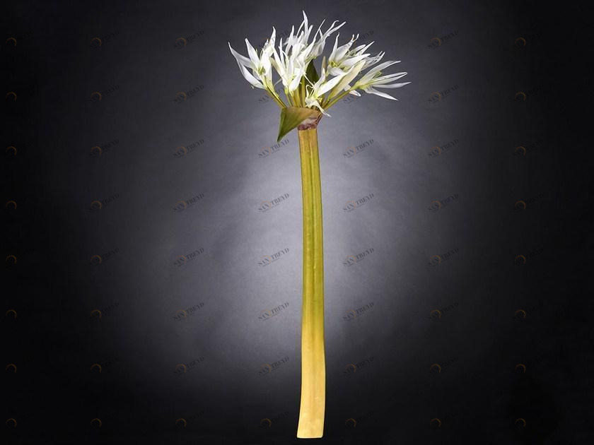 VGnewtrend Искусственное растение из полиэстера  1001677.95 