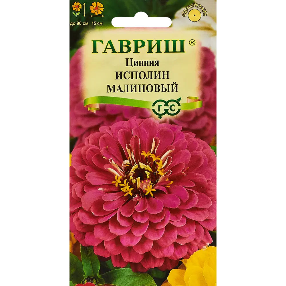 Santreyd Цинния Исполин малиновая - элитные семена для сада 89344851 STLM-0963020