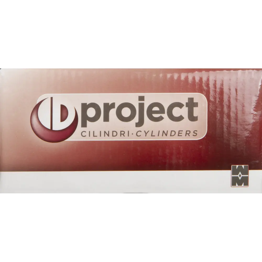 Цилиндр Mottura Project DPC1F5151 S3, 46x10x46 мм, ключ/вертушка, цвет никель STLM-2140790 - Вид №3