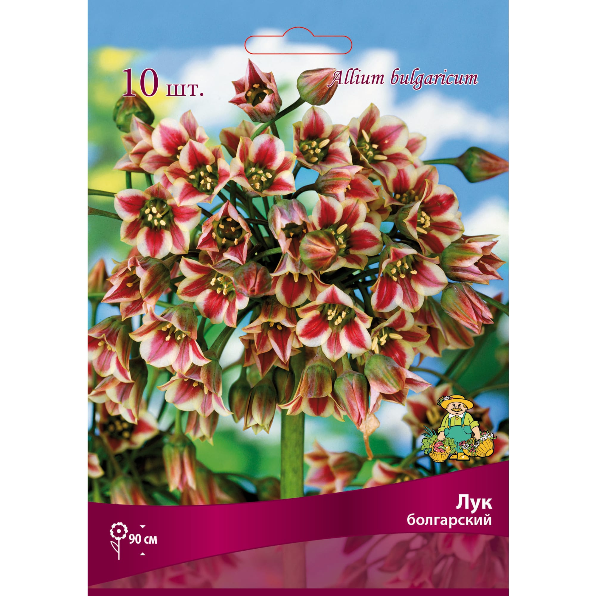 Лук болгарский размер луковицы 7/8, 10 шт Santreyd 82661878