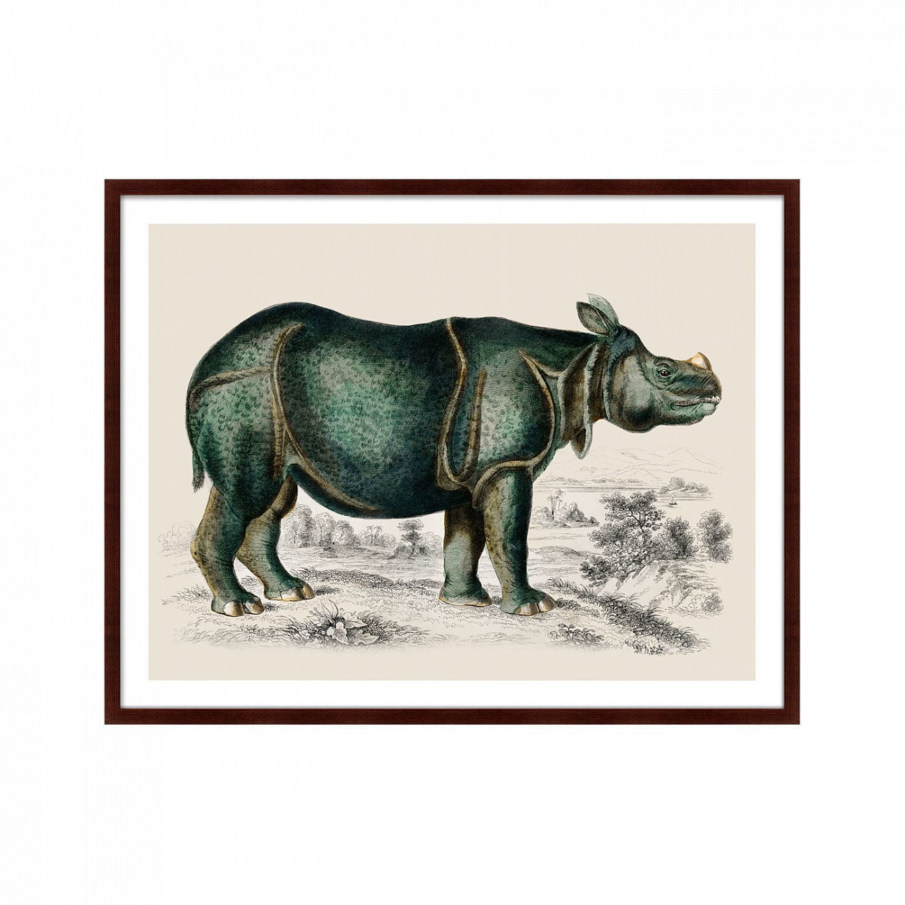 Картина в раме 130х102 см Rhinoceros, 1774г. КАРТИНЫ В КВАРТИРУ  264200 Коричневый;черный;разноцветный  - Вид №1