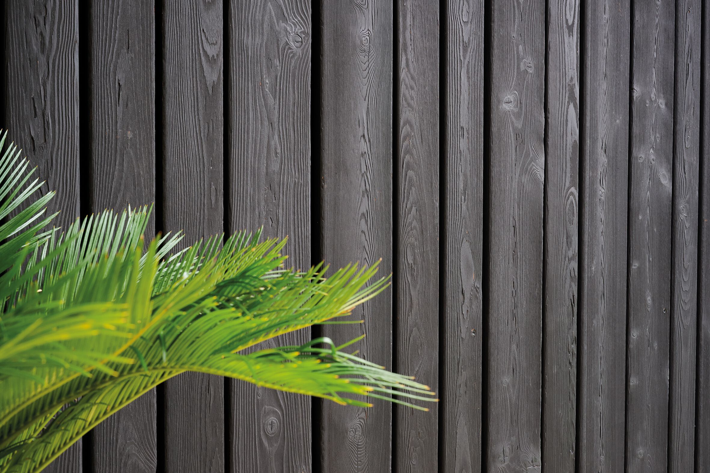 Облицовка / настил из лиственницы Sapiens ARDES ARCH-00002275 - Вид №2