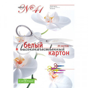 11-420-109 Набор №41 А4- 28.8 х 19.5 см 20 л. 1 цв. белый высококачественный картон Альт