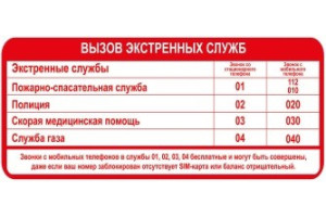 16012121 Наклейка 10х30 Экстренные службы 1-14-11-1-82 REXXON