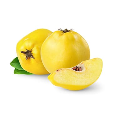 Айва Santreyd 41187