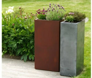 IMAGE'IN Сеялка