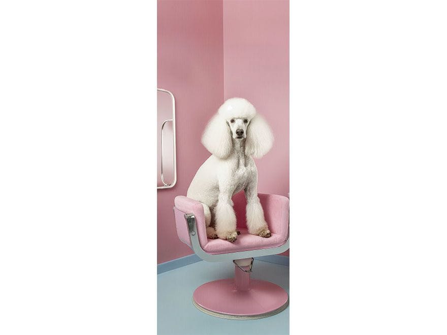 Наклейка на дверь Creativespace крышка двери ARCH-00048467 - Вид №1